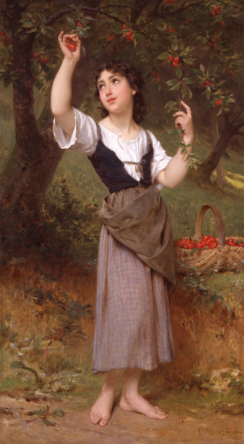 A young woman picking cherries - The Cherry Tree - Emile Munier